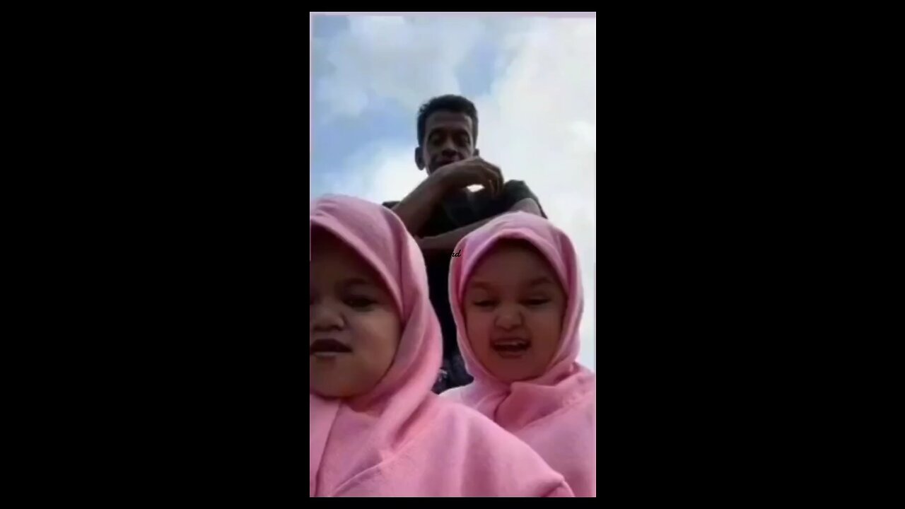 Funny videos cut