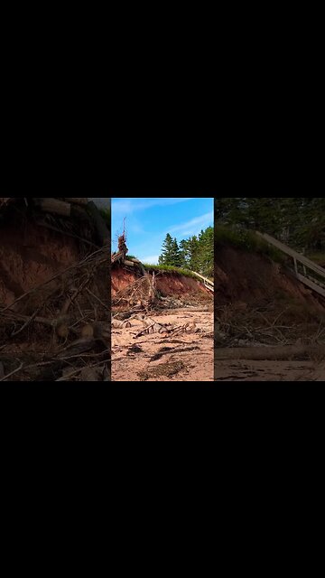 Erosion at the Beach 🏝️