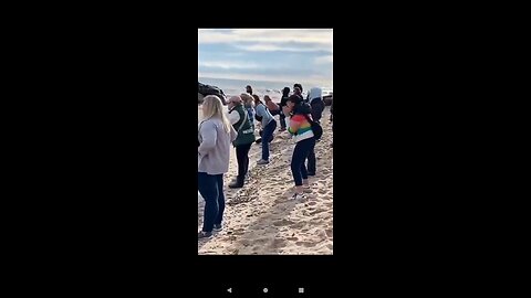 Leftist Bozos Scream Into Lake Michigan to Voice their Anger & Despair 🤡😂👎