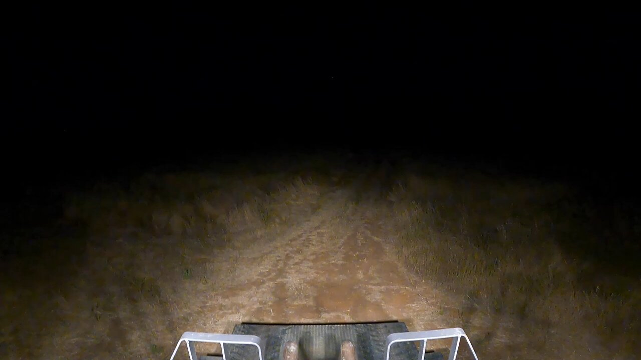 Loading bees using a bobcat.