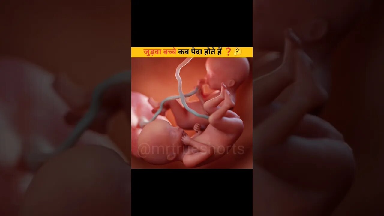 क्या आपको पता है जुड़वा बच्चे कब पैदा होता हैं ❓🤔🤯 #facts #shorts #viral #trending #mrtrueshorts