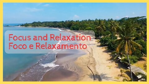 🎯 4 Hours of Focus and Relaxation | 4 Horas de Foco e Relaxamento 💤