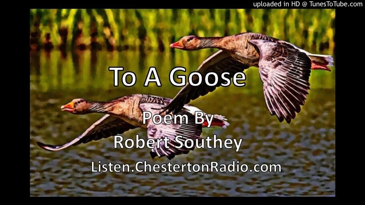 To A Goose - Poem By Robert Southey