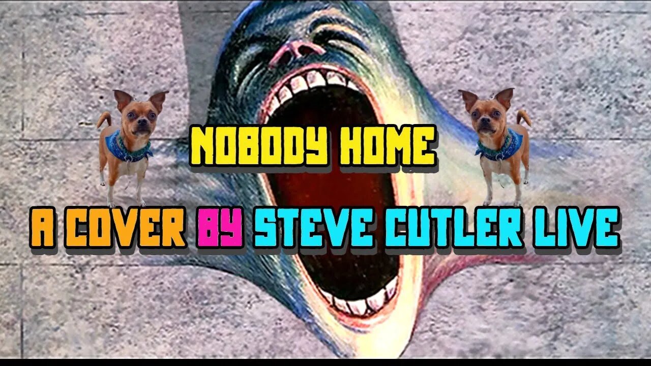 Nobody Home a cover by steve cutler