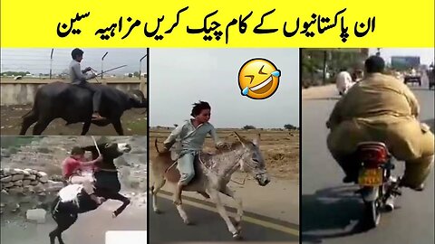 Funny Things Happen Only in Pakistan Comedy Be a Pakistani.