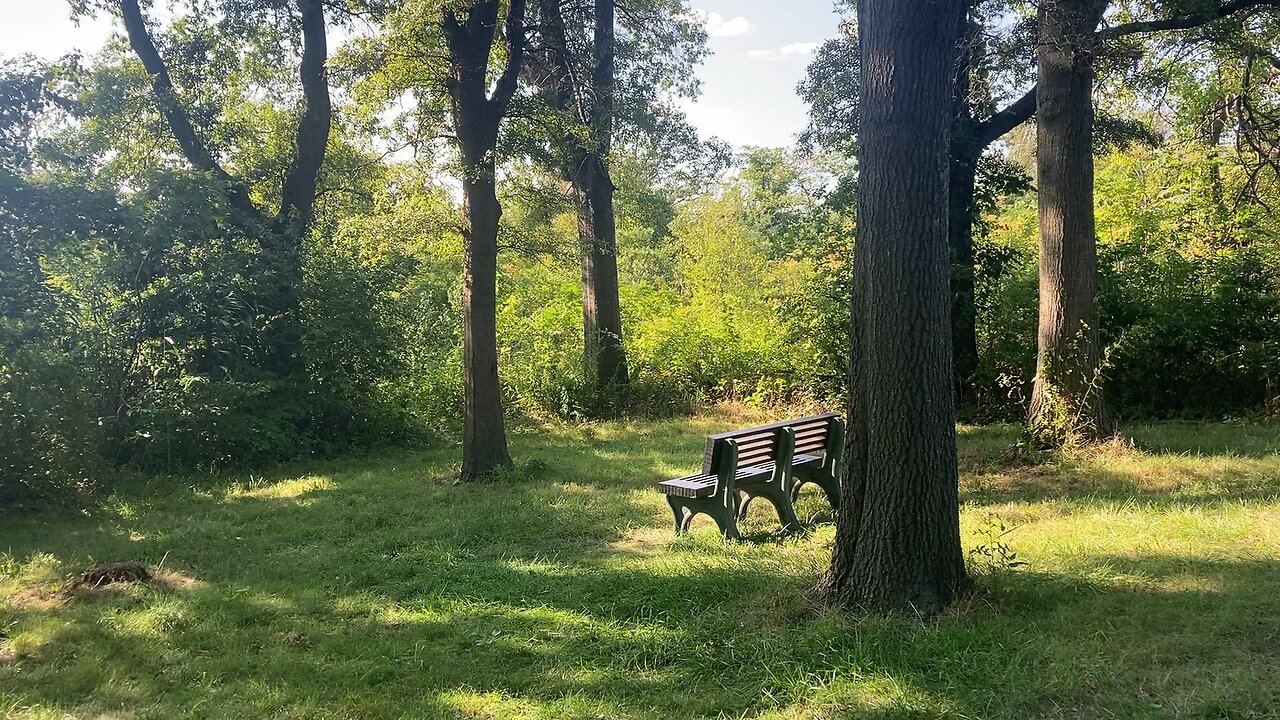 NYC National Parks: West Pond Trail @ Jamaica Bay Wildlife Refuge (Broad Channel, Queens) 3