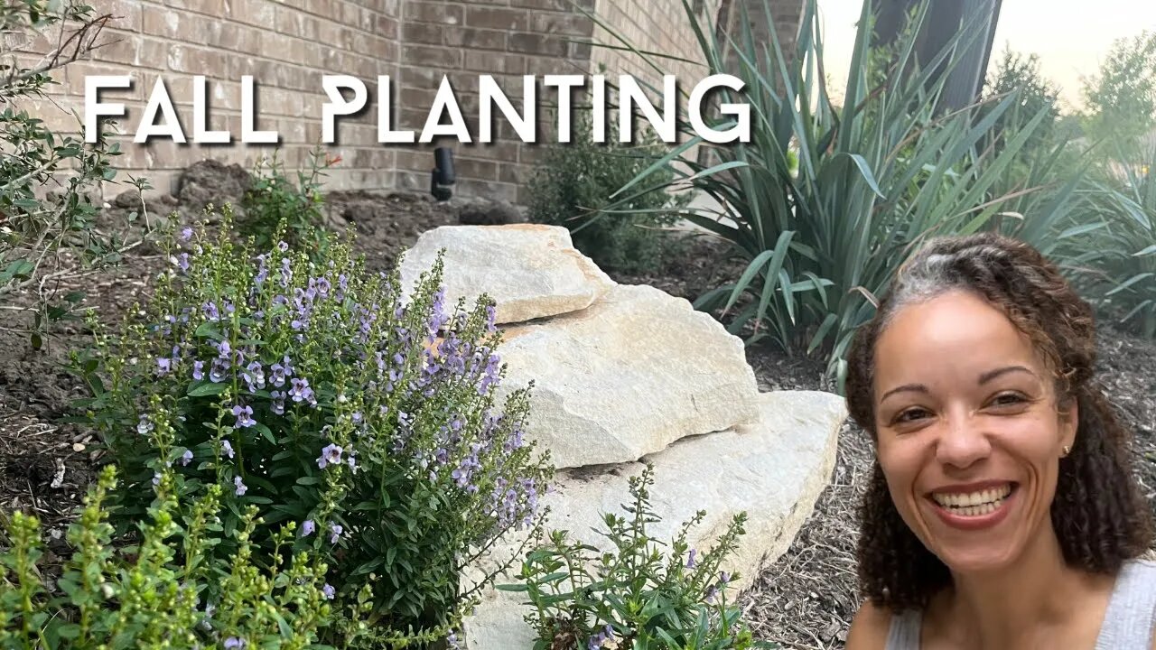 Fall Replacements for my Drought Dead Plants- Zone 8B Central Texas-part 1