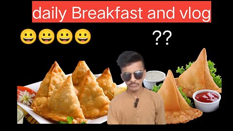 Exploring the World One Samosa at a Time: My Daily Vlog"