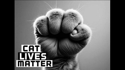 #943 CATS LIVES MATTER LIVE FROM THE PROC 09.16.24