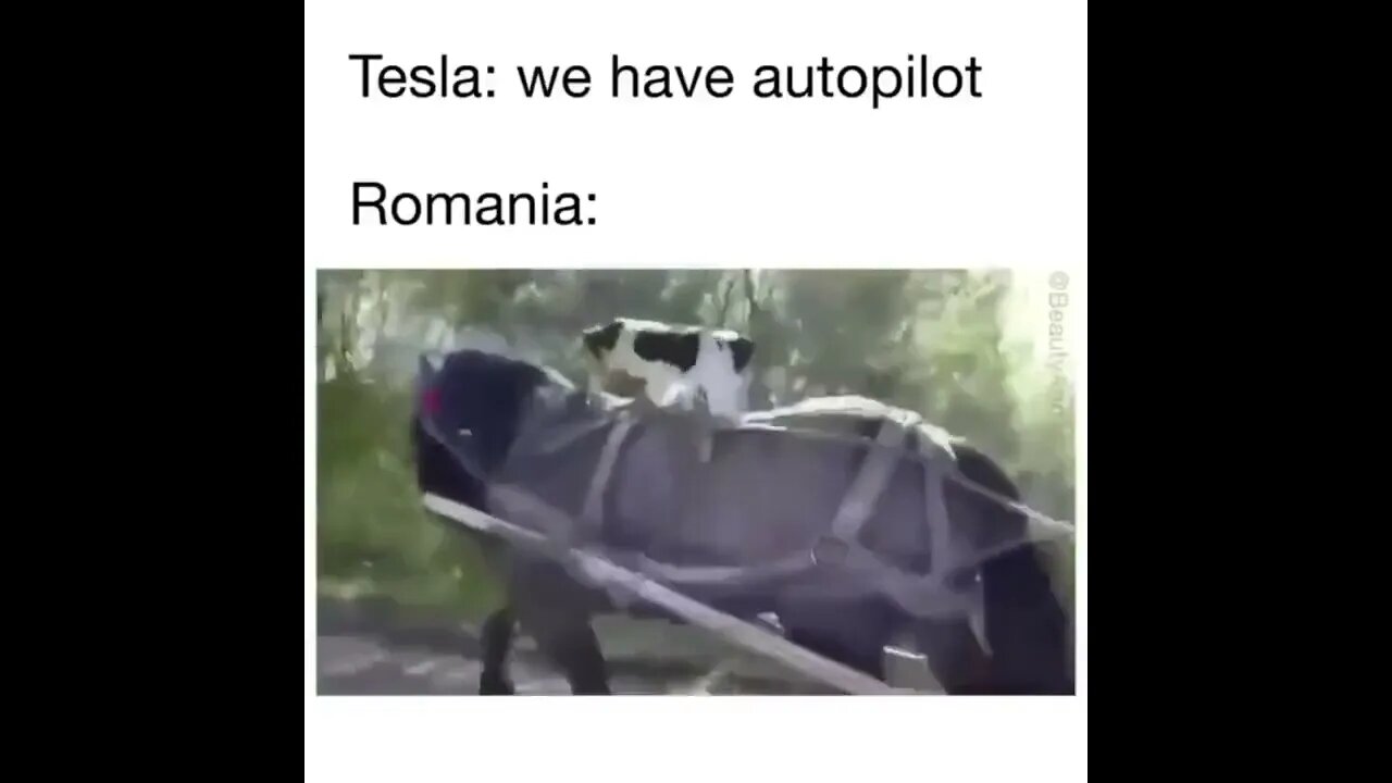 Romanian Autopilot