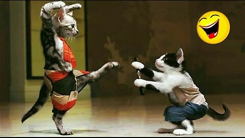 Funny Animals 😂 So Funny Animals Video