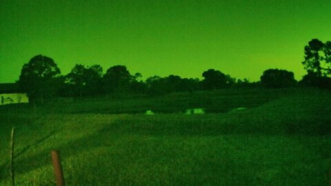 Morning at Venus Ranch