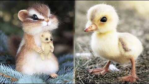 Cute And Funny Baby Animal (#12) Malik 190