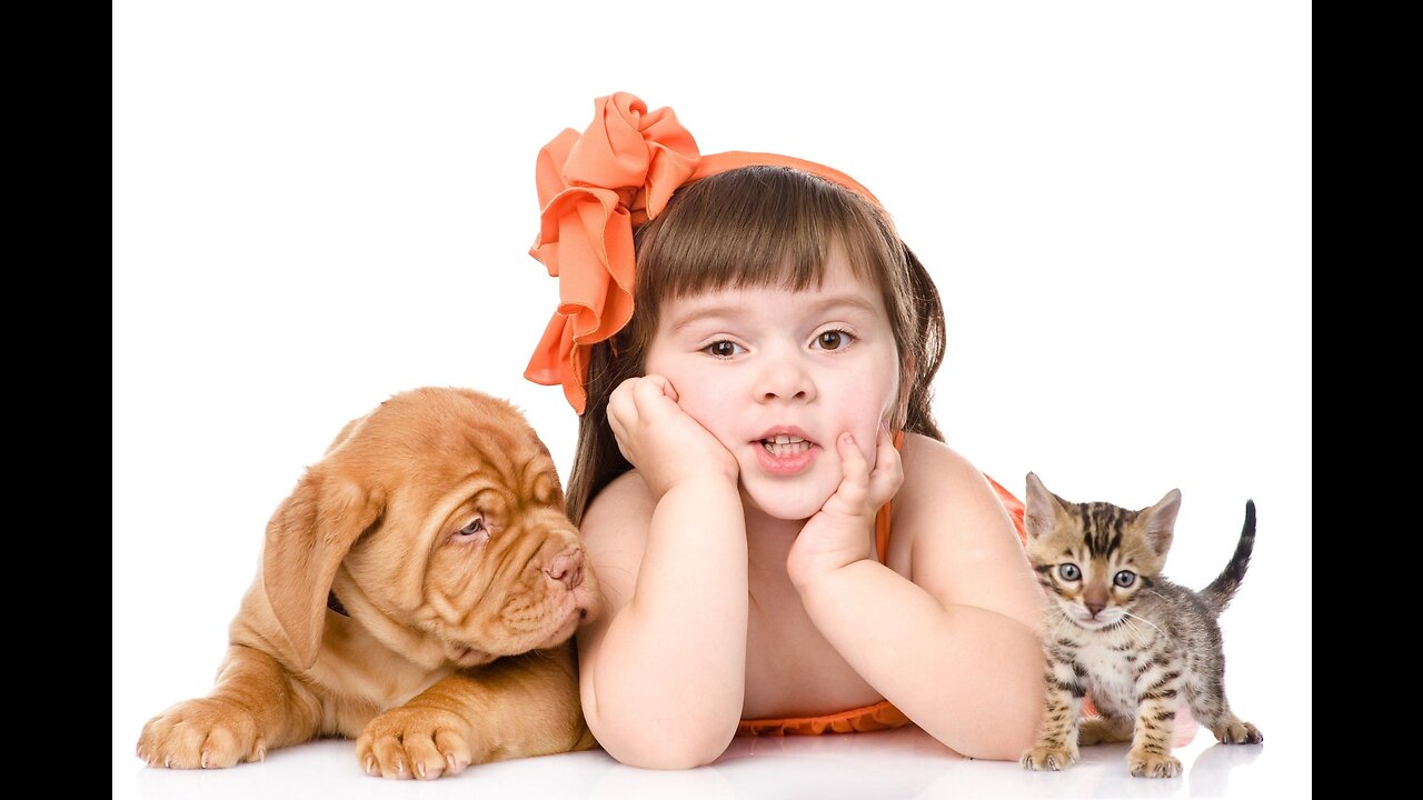 Cutest Babies Play With Dogs And Cats Compilation