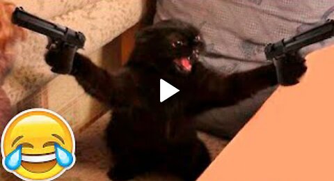 Animal funny video 😂 dogs and cats 🐕‍🦺🙀😿