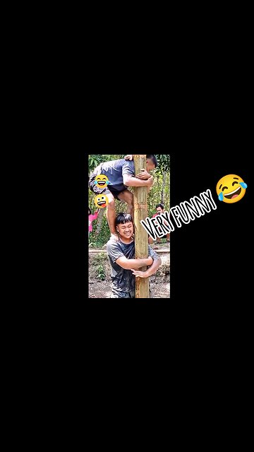 funny videos that make you laugh make your stomach hurt