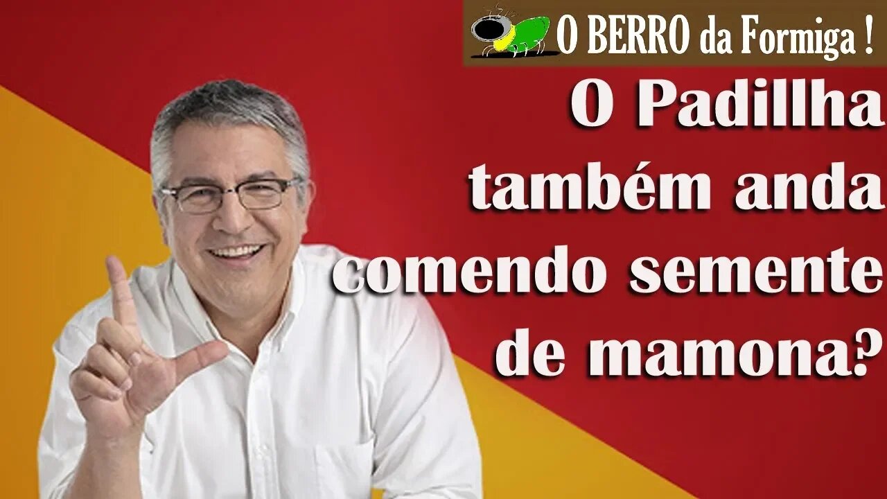 Alexandre Padilha do PT condena Bolsonaro ou Haddad?