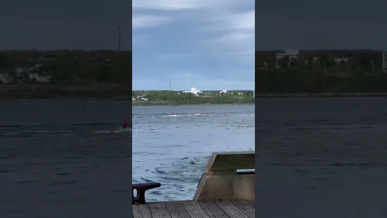 Seadoos in the Halifax Harbour