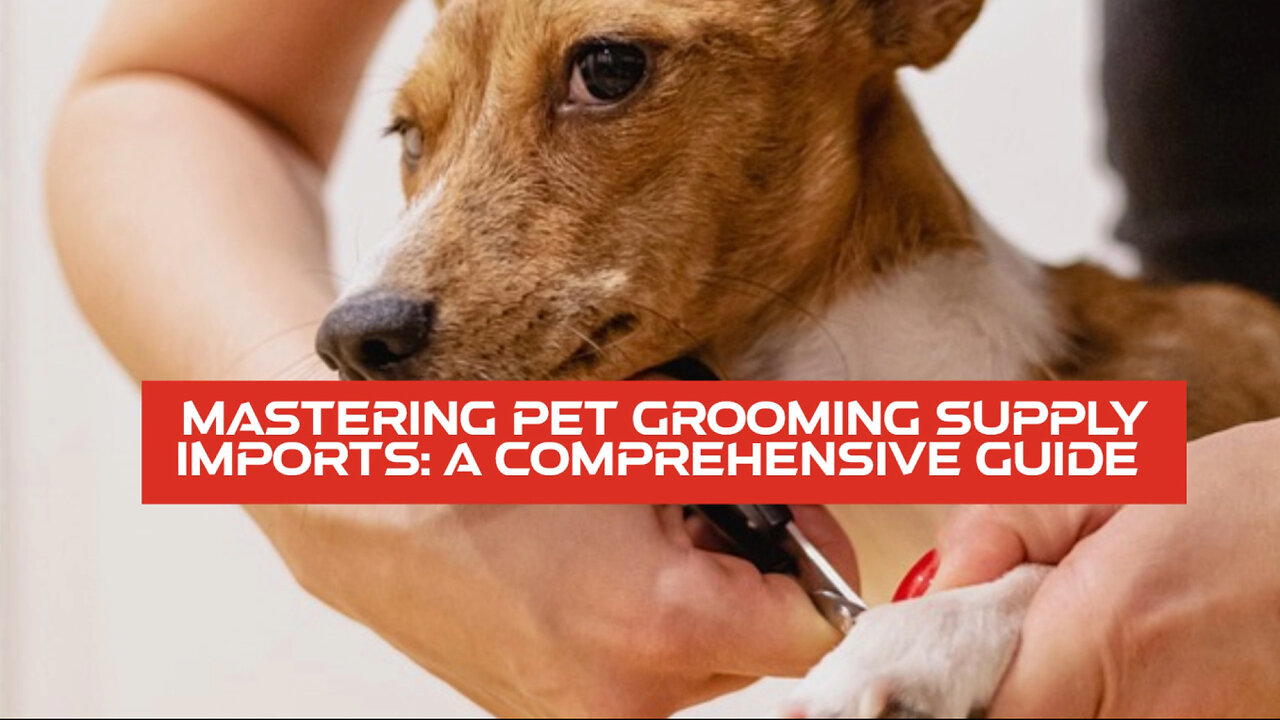 Mastering Pet Grooming Imports: From Customs to Delivery