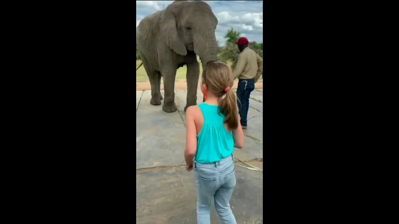 Elephant dance with Baby Girl 😍