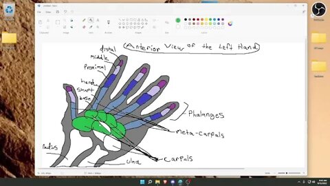 Session 6: Metagame (Paint, Typing, Aim Training) - Part 8 -