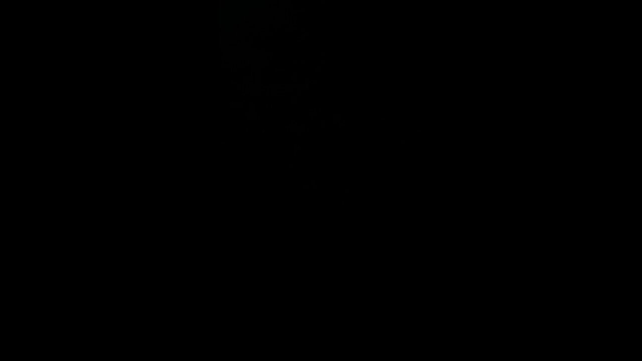 Resident Biden prevailed