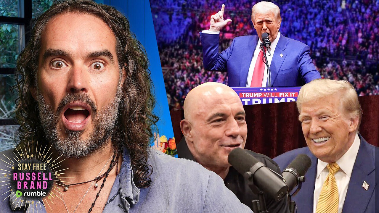 REACTION- Trump’s PACKED Madison Square Garden Rally + Rogan Interview BREAKS THE INTERNET - SF479