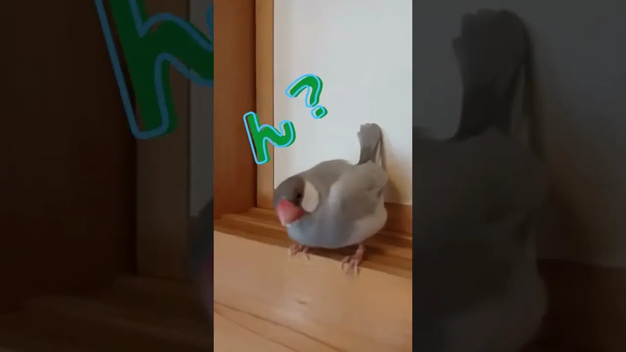 反抗期だと！？