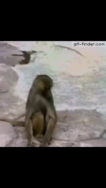 BIDEN REALIZES WHOʻ HE IS