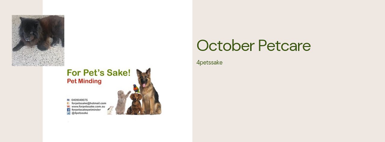 A snapshot of October Petcare 😁