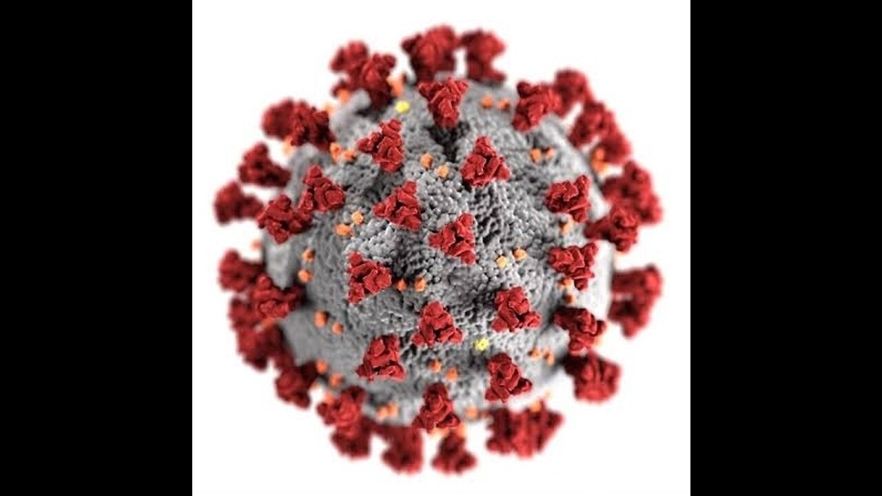 New C19 wave incoming - get tested!