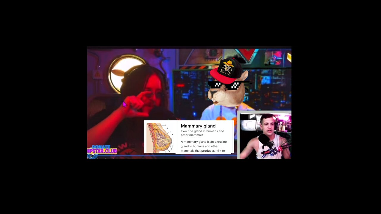 Mammarys with HipStar and lilFappyX