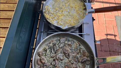 Steak bites in mushroom cream sauce along with pasta