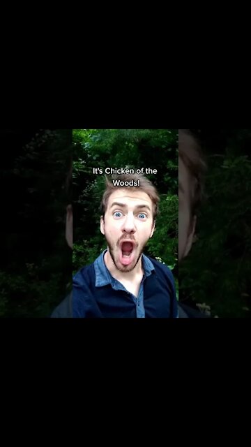 When you see an Orange mushroom in the woods! Jack O lantern and Chicken of the Woods Look a like.