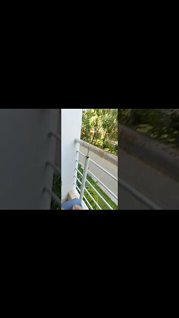 baby relaxing early morning #shorts #shortvideo