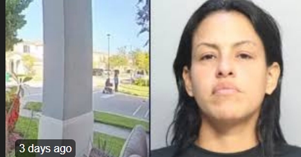 Sarahy Parra-Ovalles Amazon Driver Put Baby Back In Stroller After Hitting Him, Mom And Fleeing