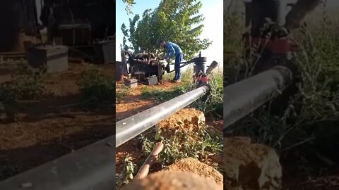 #shorts #2022 funny,prank,funjokes,dad jokes,funny memes,funny video,fun,laughing,funny animal,knock