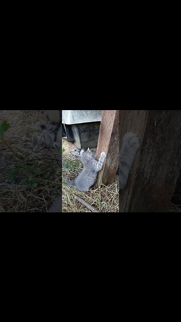 Thinking about Climbing