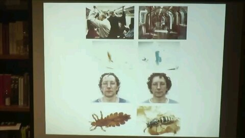 This is your brain on Parasites