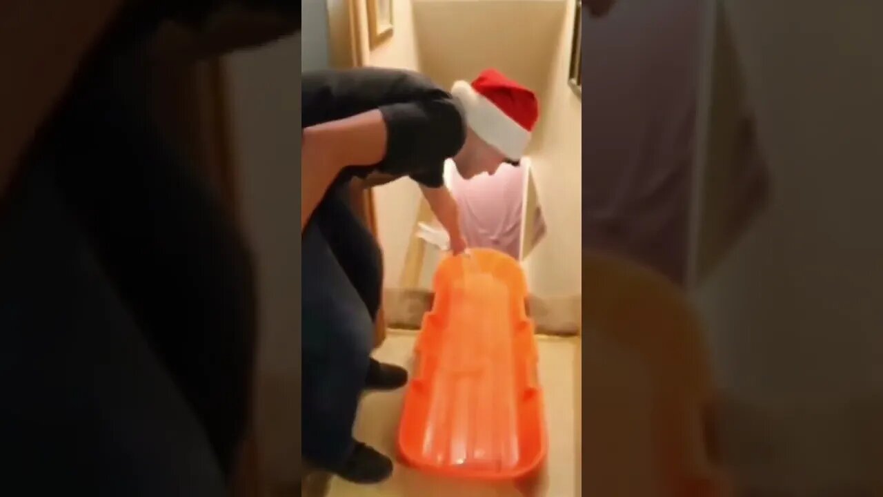 Alcoholic Sledding #shorts #funny #drink