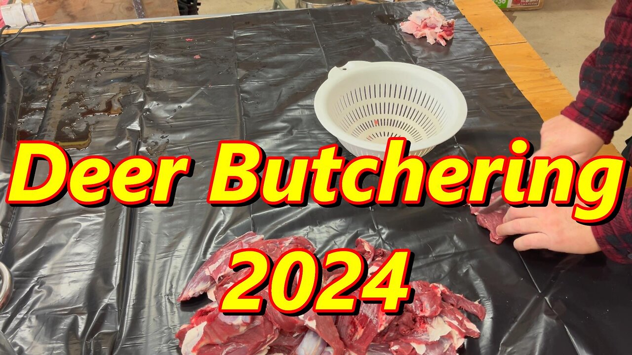 Deer Butchering 2024