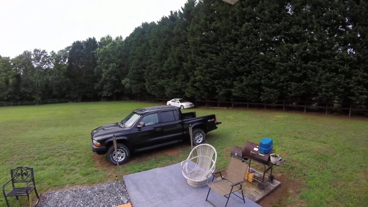 Close up of our furry friend!