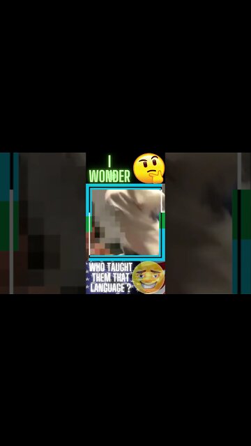 |SHORT| But America's Not R__ist Tho 🤷🏿‍♂️