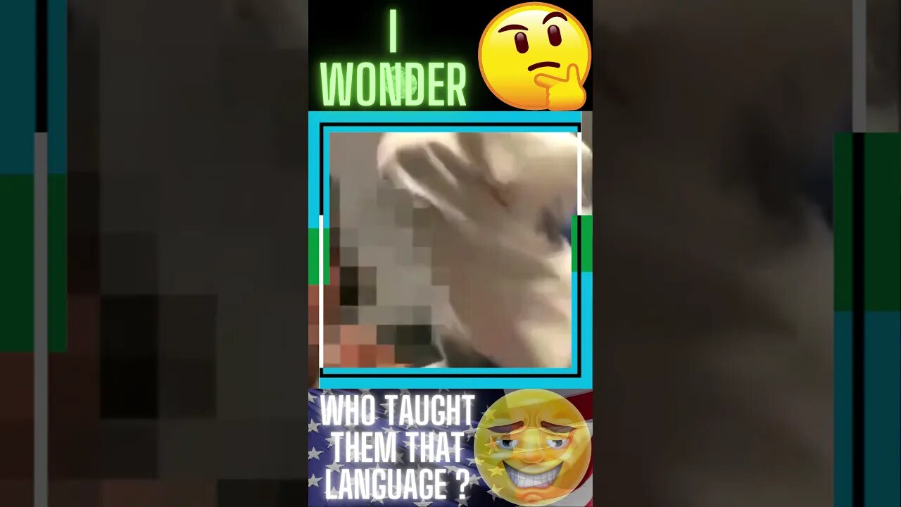 |SHORT| But America's Not R__ist Tho 🤷🏿♂️