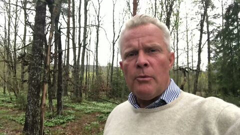 Fordømmelse av Israel
