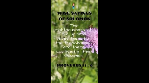 Proverbs 11:6 | Wise Sayings of Solomon