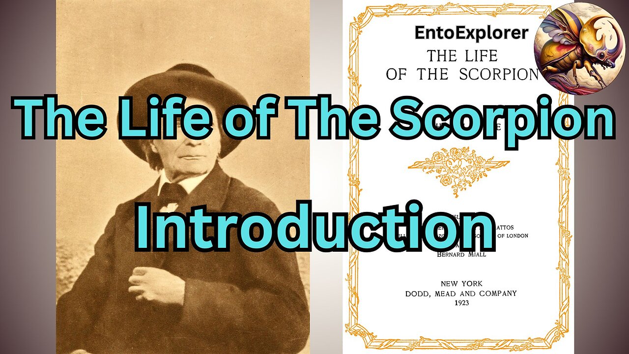 Intro To "The Life of the Scorpion" by Jean-Henri Fabre 1923