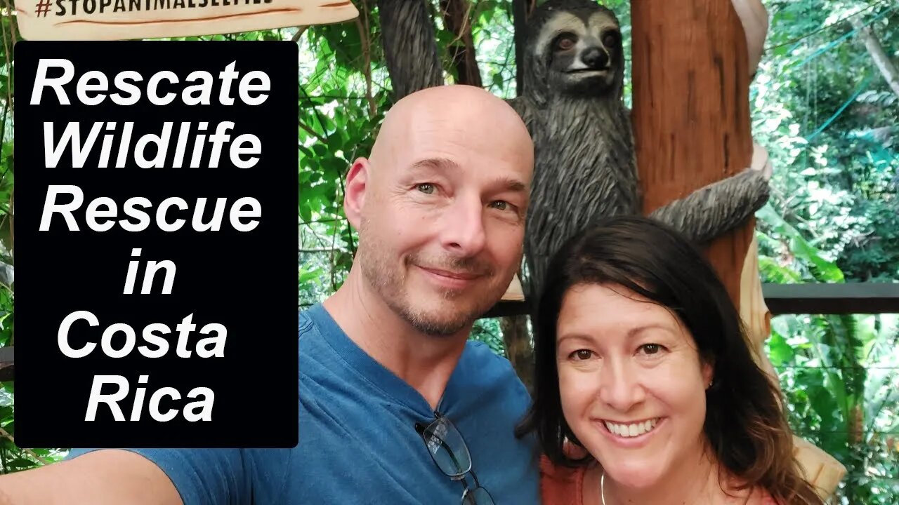 Rescate Wildlife Rescue Center in Costa Rica