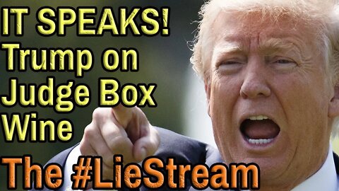 TRUMP TALKS TO JUDGE WINE BOX on the #LieStream. With Commentary. Come Chat.