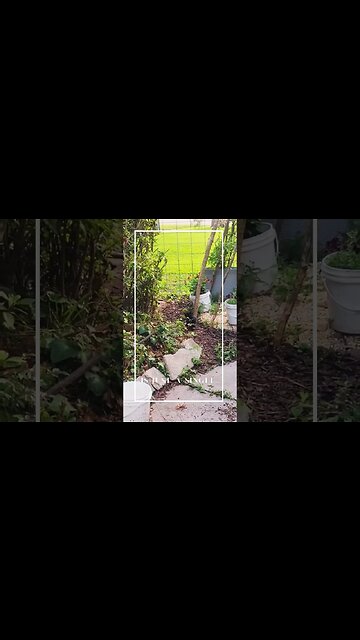 Mama said there'd be days like this when all you really want is a moment of peace! #momlife #cats